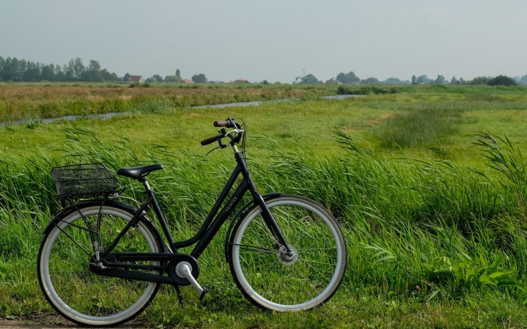 Fietsen door de Veluwe