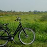 Fietsen door de Veluwe