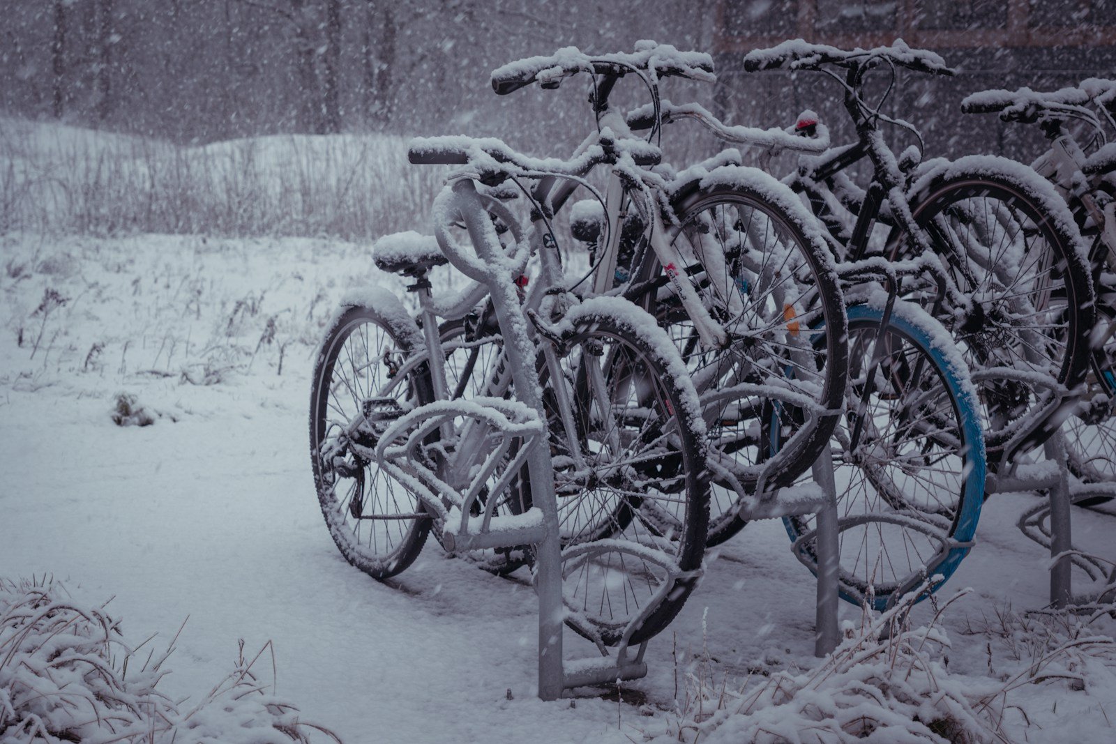 Fiets onderhouden in de winter