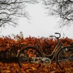 Kledingadvies voor herfst fietsers
