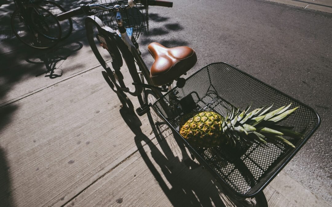 Stadsfiets vs transportfiets