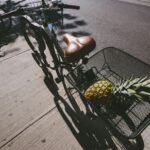 Stadsfiets vs transportfiets