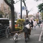 Fietsen met je hond: kan dat?