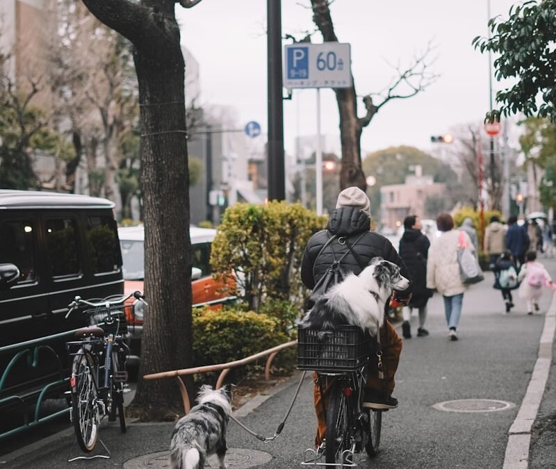 Fietsen met je hond: kan dat?
